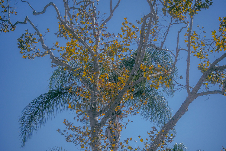 Untitled-1 copy18
