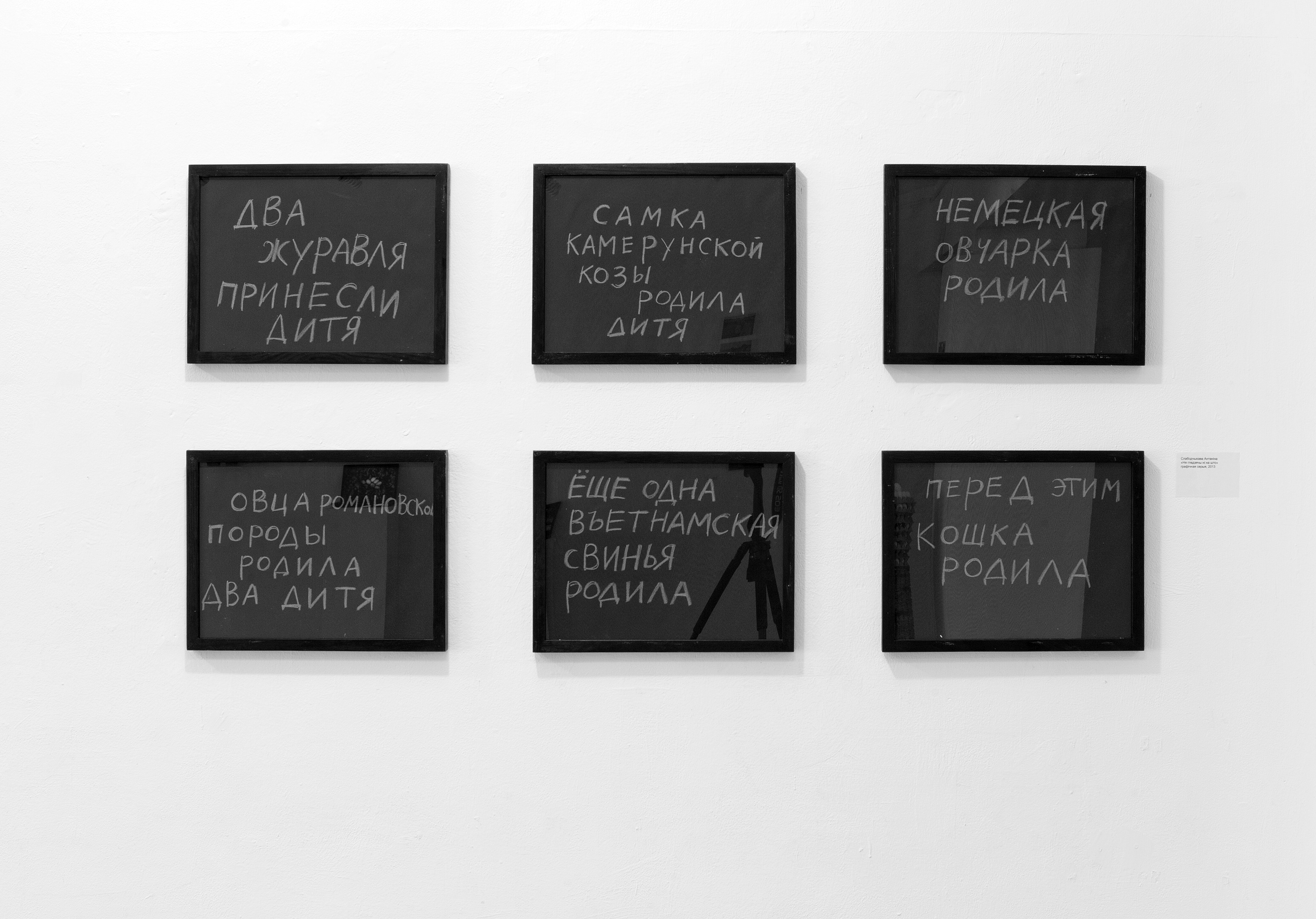 Антонина Слободчикова. Несмотря ни на что. Графическая серия. 2013