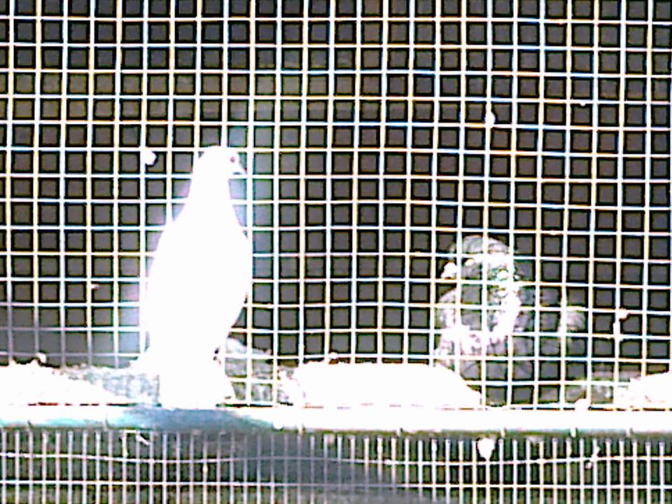 19225240_671465119710044_8072085282674651685_n