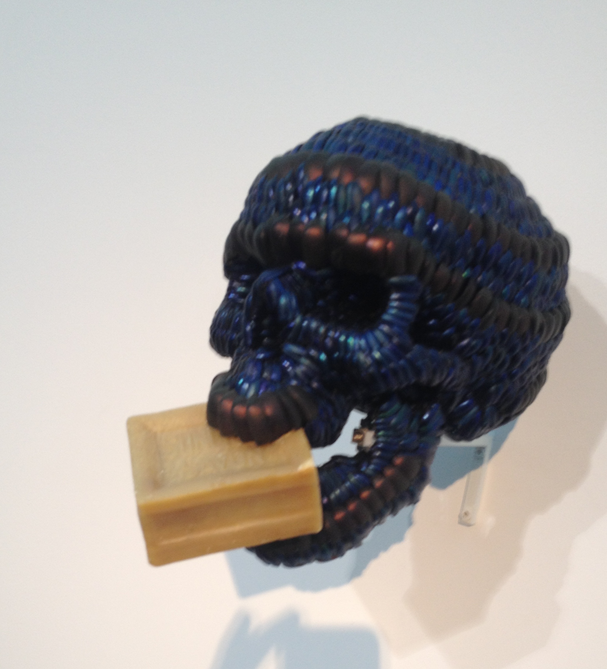 Ян Фабр. Из проекта «Дань Бельгийскому Конго». Киев, PinchukArtCentre, 2014